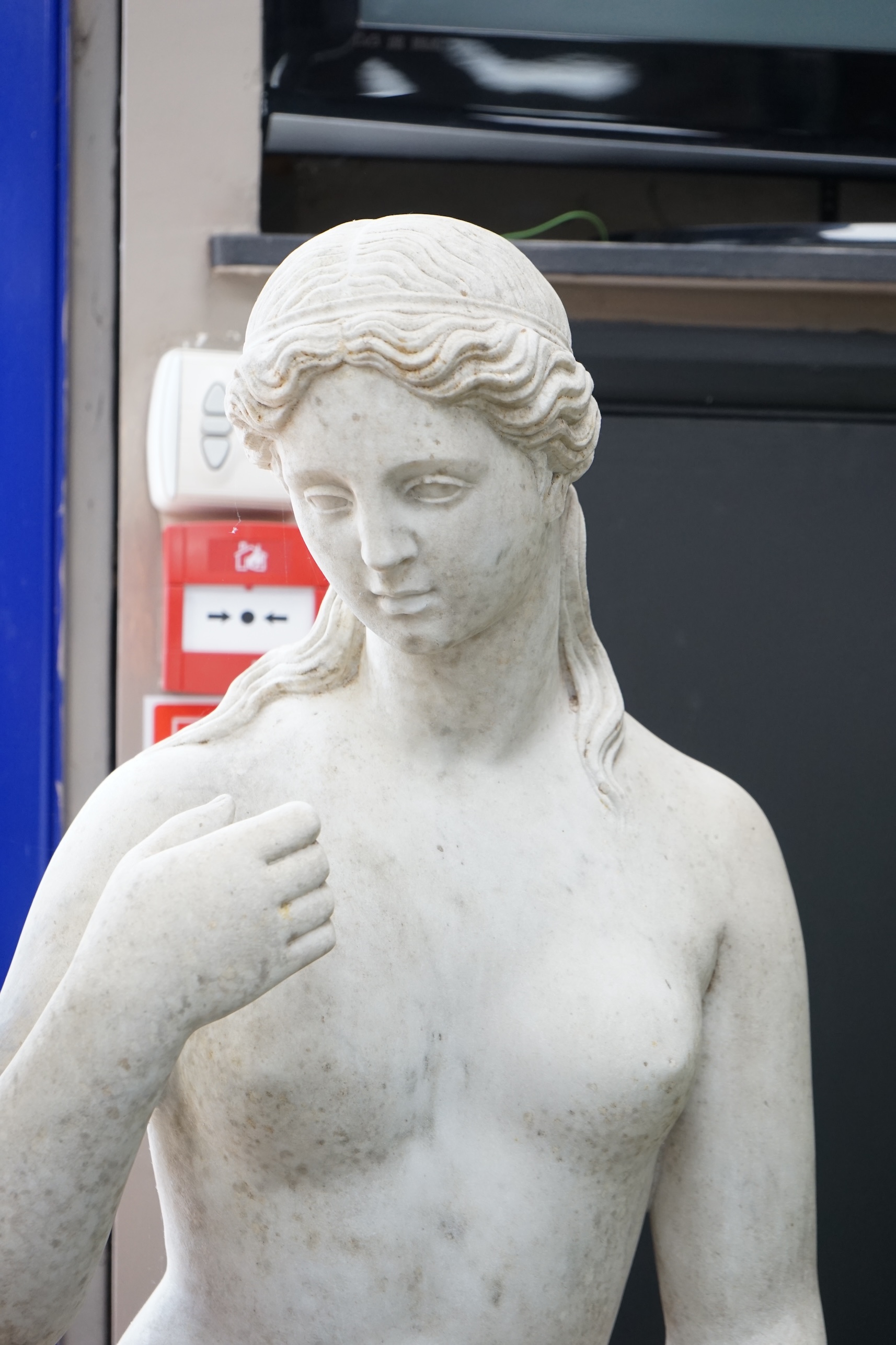 After the Antique. A large carved marble figure of Venus